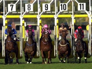 http://betting.betfair.com/horse-racing/Australia%20Eagle%20Farm%20Stalls.jpg